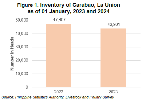Figure 1. Inventory of Carabao, La Union as of 01 January, 2023 and 2024