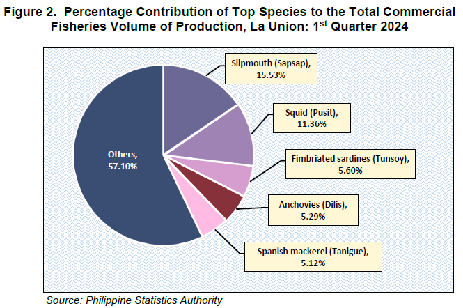 Figure 2. Percentage Contribution of Top Species to the Total Commercial Fisheries Volume of Production, La Union 1st Quarter 2024