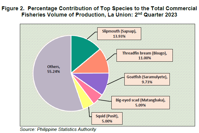 Figure 2. Percentage Contribution of Top Species to the Total Commercial Fisheries Volume of Production, La Union 2nd Quarter 2023