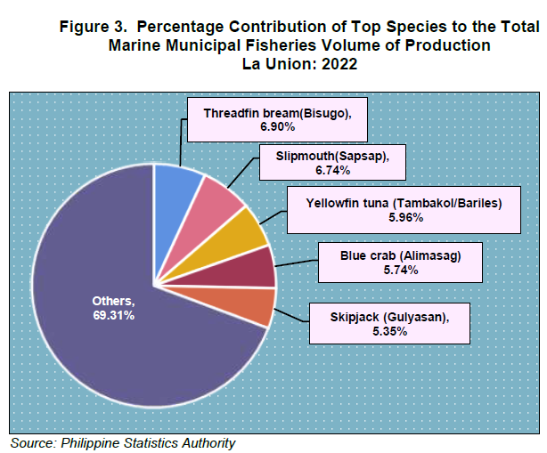 Figure 3. Percentage Contribution of Top Species to the Total Marine Municipal Fisheries Volume of Production La Union 2022