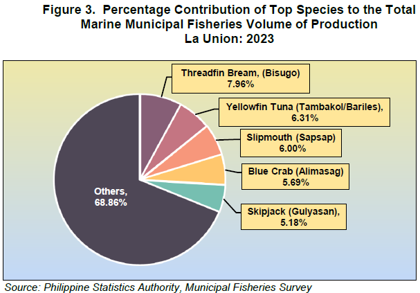 Figure 3. Percentage Contribution of Top Species to the Total Marine Municipal Fisheries Volume of Production La Union 2023
