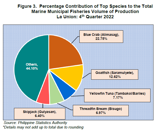 Figure 3. Percentage Contribution of Top Species to the Total Marine Municipal Fisheries Volume of Production La Union 4th Quarter 2022