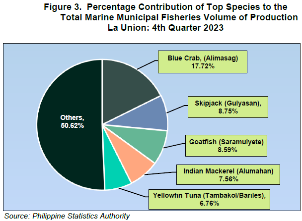 Figure 3. Percentage Contribution of Top Species to the Total Marine Municipal Fisheries Volume of Production La Union 4th Quarter 2023