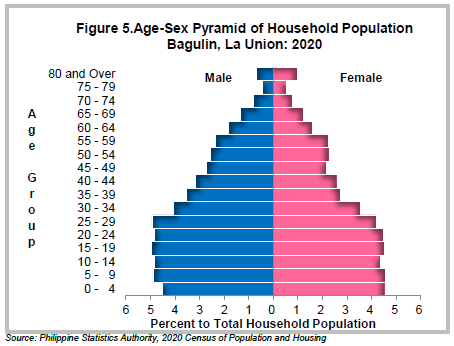 Figure 5. Age-Sex Pyramid of Household Population Bagulin, La Union