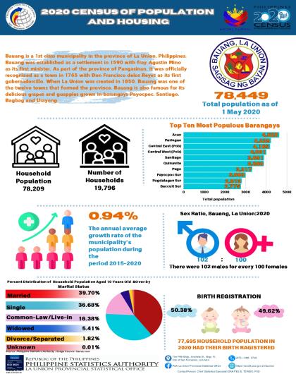 2024-107 Bauang, La Union 2020 Census of Population and Housing