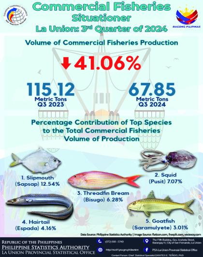 2024-144 Commercial Fisheries Situationer in La Union for the Third Quarter of 2024