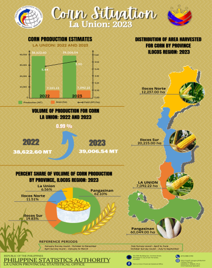 2024-35 Infographics on Corn Situation in La Union for 2023