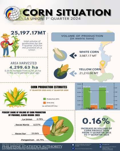 2024-51: Corn Situation in La Union for the First Quarter of 2024