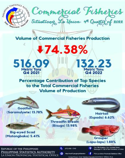 33R01-IG2023-113 Commercial Fisheries Situationer in La Union for 4th Quarter 2022
