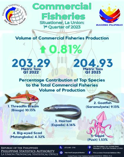 33R01-IG2023-169 Commercial Fisheries Situationer in La Union for 1st Quarter 2023