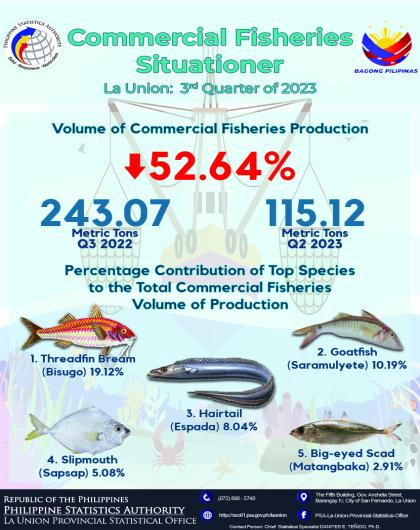 33R01-IG2023-256 Commercial Fisheries Situationer in La Union for Third Quarter 2023