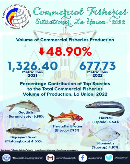 33R01-IG2023-79_Commercial Fisheries Situationer in La Union, 2022