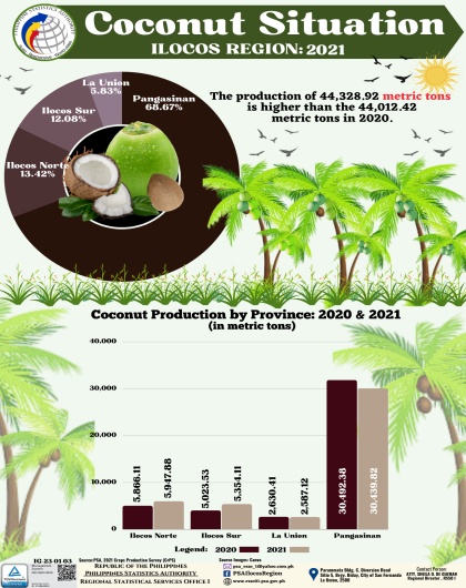Coconut Situation Ilocos Region 2021