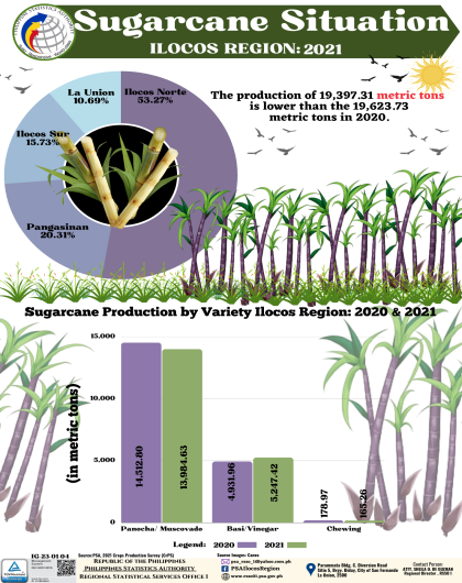 Sugarcane Situation Ilocos Region 2021
