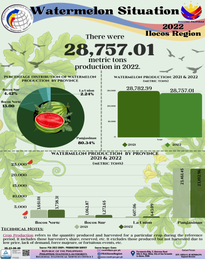 Watermelon Situation 2022 Ilocos Region
