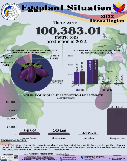 Eggplant Situation 2022 Ilocos Region